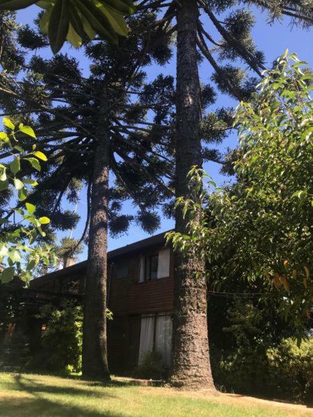 Hotel Costanera Pucon Bed & Breakfast Pucon